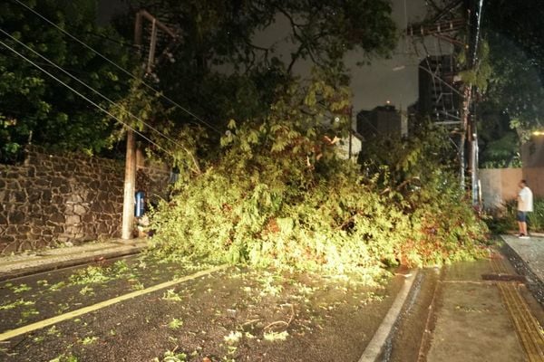 Árvores caíram sobre a rede elétrica causando curtos circuitos e fios partidos na Ladeira da Barra por Ana Albuquerque/CORREIO