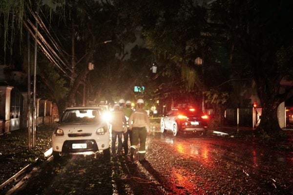 Árvores caíram sobre a rede elétrica causando curtos circuitos e fios partidos na Ladeira da Barra por Ana Albuquerque/CORREIO