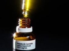 Imagem - Anvisa amplia regras para uso de cannabis medicinal no Brasil