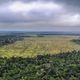 Imagem - Desmatamento na Amazônia registra maior queda do ano em novembro