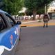 Imagem - Cadeirante é morto a tiros na porta de casa em Itabuna