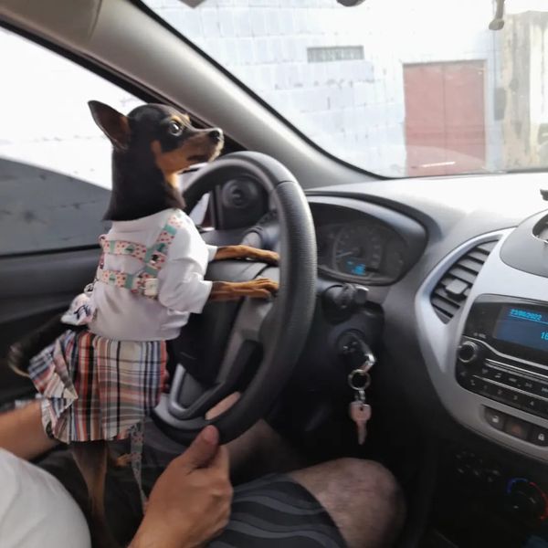 Belinha desapareceu em Paripe, perto da Vila Naval da Barragem