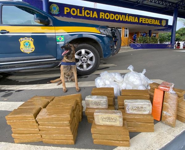 PRF apreende mais de 85 kg de drogas em ônibus de viagem na Bahia