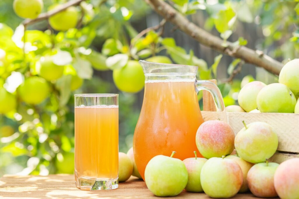 [Edicase]Suco de maçã com canela e gengibre(Imagem: Andrii Spy_k | Shutterstock) por  