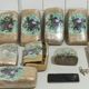 Imagem - Mais de 13 kg de maconha são apreendidos pela PM em interior da Bahia