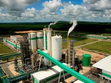 Imagem - Empresa de celulose abre inscrições para Programa de Estágio; há 31 vagas em diferentes áreas