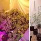 Imagem - Polícia peruana descobre passagem secreta dentro de geladeira que escondia plantação de maconha