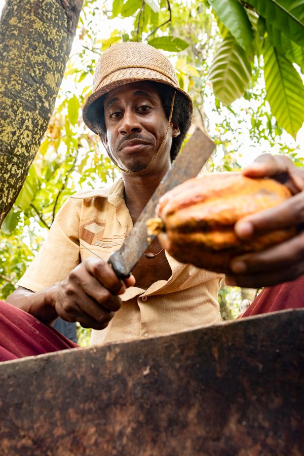 Jupará (Evaldo Macarrão)