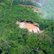 Imagem - FAB intercepta avião na região da terra indígena Yanomami