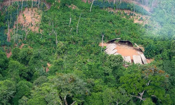 Ação do governo federal no território Yanomami