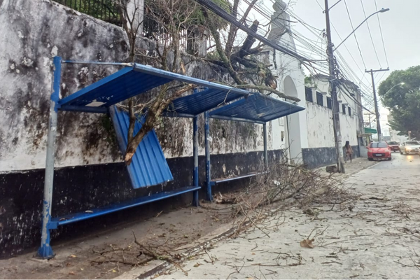 Um galho de uma árvore derrubou a cobertura do ponto de ônibus em frente ao cemitério Campo Santo