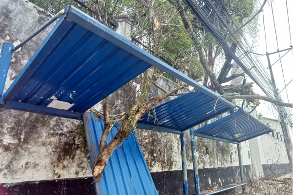 Uma parte da cobertura do ponto de ônibus estava atravessada por galhos de árvore