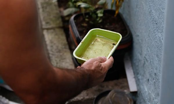 Agentes de vigilância em saúde fiscalizam