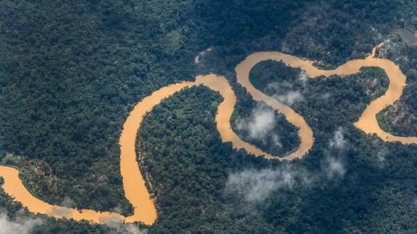 Amazônia