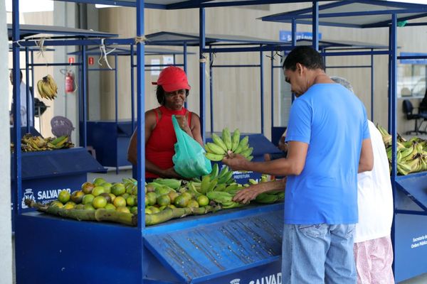 No local, 112 barracas vendem frutas, verduras, hortaliças, produtos da roça, artesanatos, cereais, grãos, entre outros 