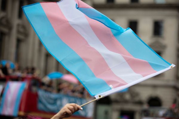 Bandeira trans