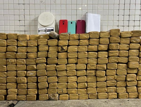 Polícia apreende 163 kg de maconha em Salvador