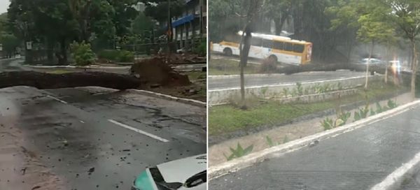 Árvores caídas atrapalham o trânsito em Salvador