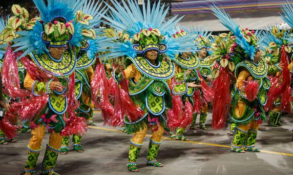 Retornarão à avenida do samba as campeãs e vice-campeãs do Grupo de Acesso 2 e do Grupo de Acesso 1; e as cinco melhores do Grupo Especial.