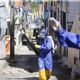Imagem - ‘Ainda vai piorar’, diz especialista sobre casos de dengue na Bahia