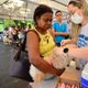 Imagem - Vacina V10 para cães será ofertada gratuitamente a partir desta quarta (21) em Salvador