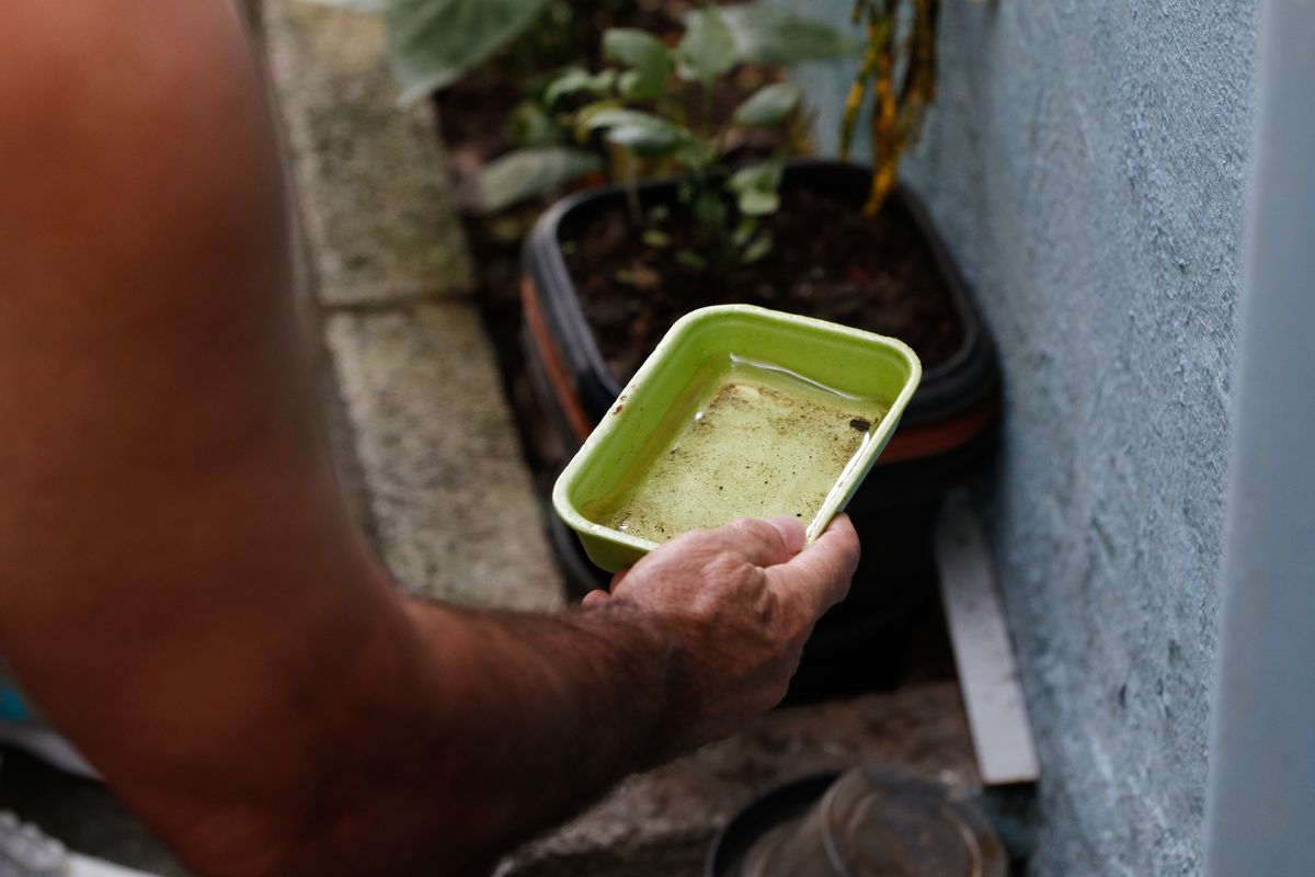 Água parada pode favorecer proliferação de larvas do aedes aegypti