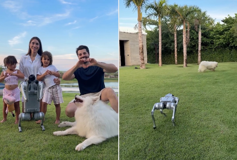 Alok apresentou o cachorro robô nas redes sociais por Reprodução/Instagram