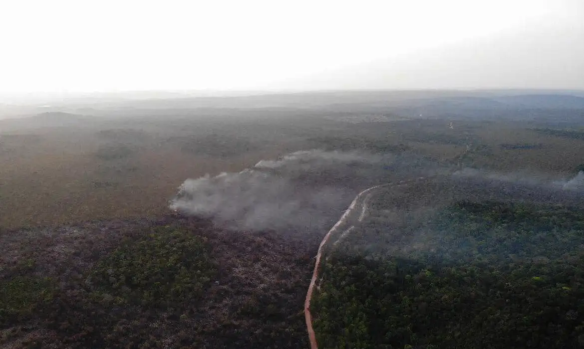 Burned area in Brazil grows 248% compared to January 2023