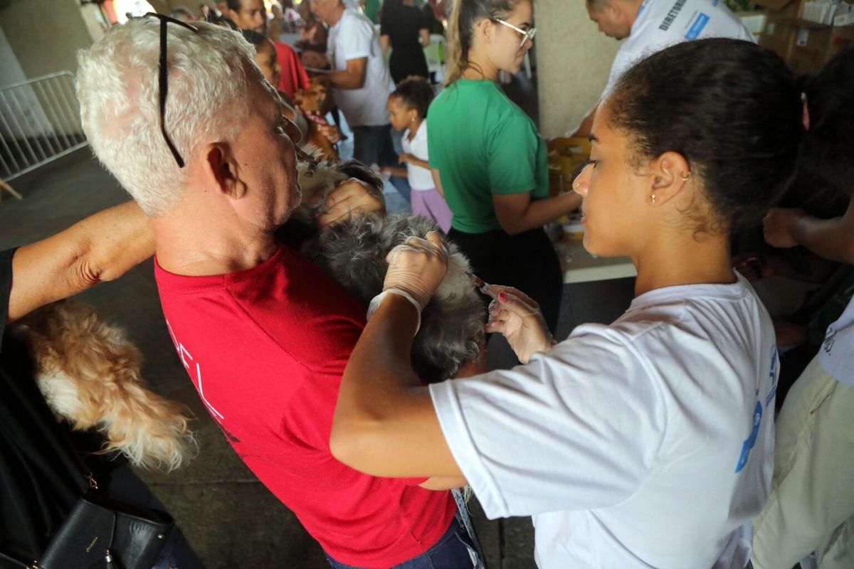 Cajazeiras recebe mutirão de vacina V10 