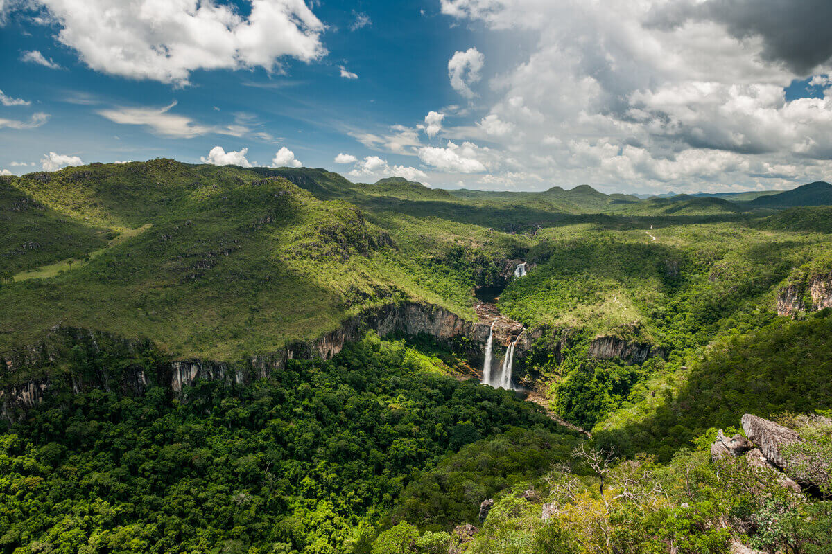 Chapada dos Veadeiros encanta os turistas por sua biodiversidade (Imagem: vitormarigo | Shutterstock) por  