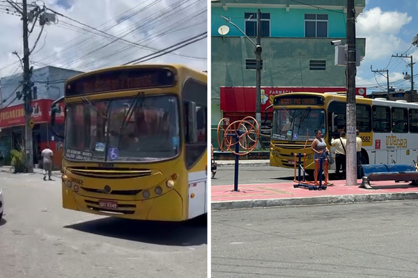 Ônibus rodam em Fazenda Coutos