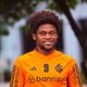 Imagem - Atacante Luiz Adriano é anunciado pelo Vitória