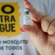 Imagem - Dengue: 14,7% das vacinas distribuídas aos municípios foram aplicadas