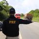 Imagem - PRF apreende caminhão com 18 toneladas de milho sem nota fiscal na Bahia