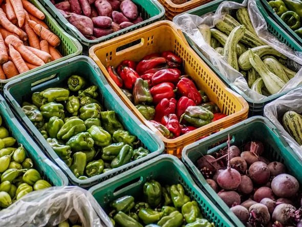 Imagem - Preços da batata, da cebola e da cenoura caem no atacado em setembro, mostra Conab