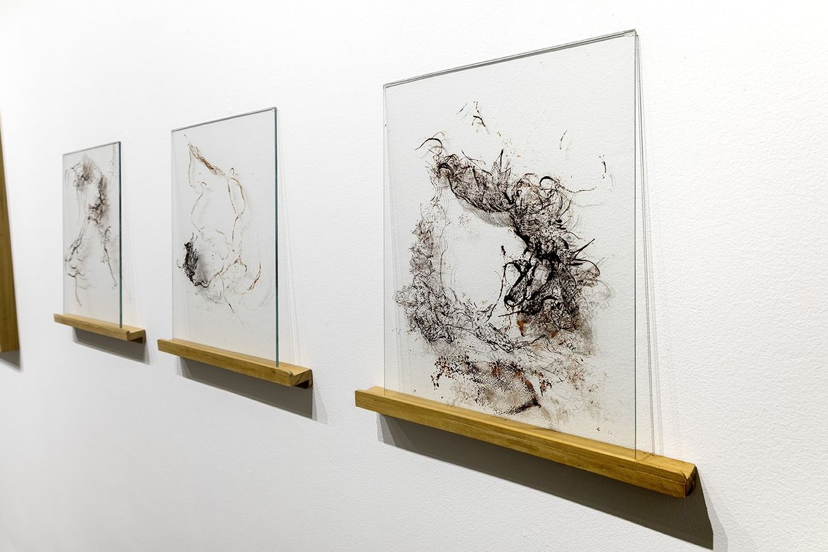 expo-cápsula Duas braçadas e meia 