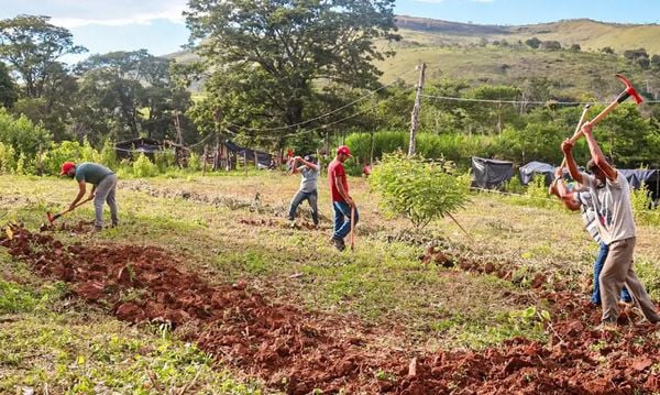 Fazenda ocupada pelo MST em Minas Gerais