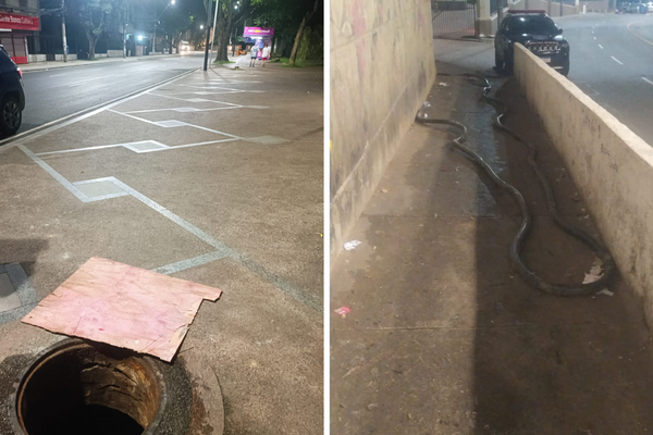 Fios foram roubados em praça no Campo Grande