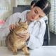 Imagem - 7 dicas para facilitar a visita ao veterinário para o seu gato