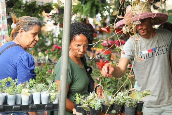 Prefeitura promove 1º Feira Agroecológica de Salvador nesta quinta (14)