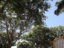 Imagem - Ufba promove semana dedicada a debates sobre inteligência artificial e cultura digital