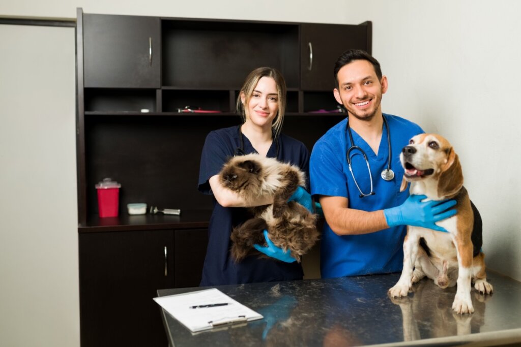 Imagem Edicase Brasil