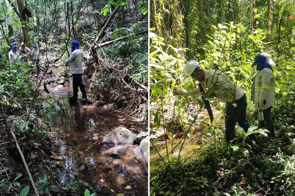 1758 nascentes de rios recebem proteção dentro das áreas de Planejamento e Meio Ambiente da Bracell Bahia