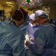 Imagem - Transplante renal de porco para um paciente vivo é realizado nos EUA