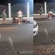 Imagem - Músicos da Osba imobilizaram homem morto no Corredor da Vitória antes de chamar a polícia; veja vídeo