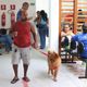 Imagem - Tutores podem economizar até R$ 1.900 com chegada de hospital público veterinário em Salvador
