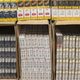 Imagem - Mais de dois mil maços de cigarros irregulares e contrabandeados são apreendidos na Bahia