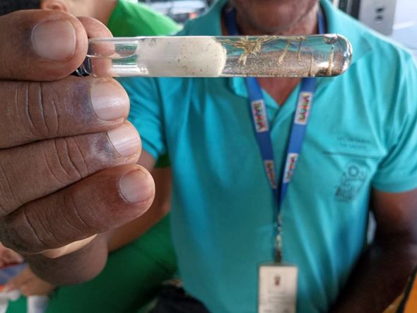 Imagem - Bahia tem 43 mortos por dengue em 2024
