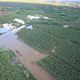 Imagem - Chuva forte inunda plantações e isola famílias em Canudos e Jeremoabo