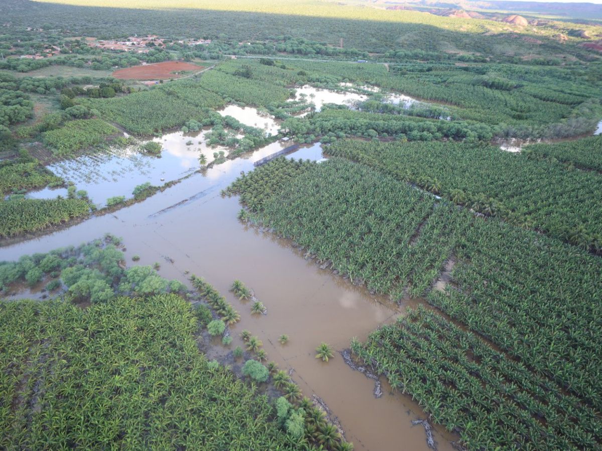 Plantações foram inundadas devido ao grande volume de chuvas